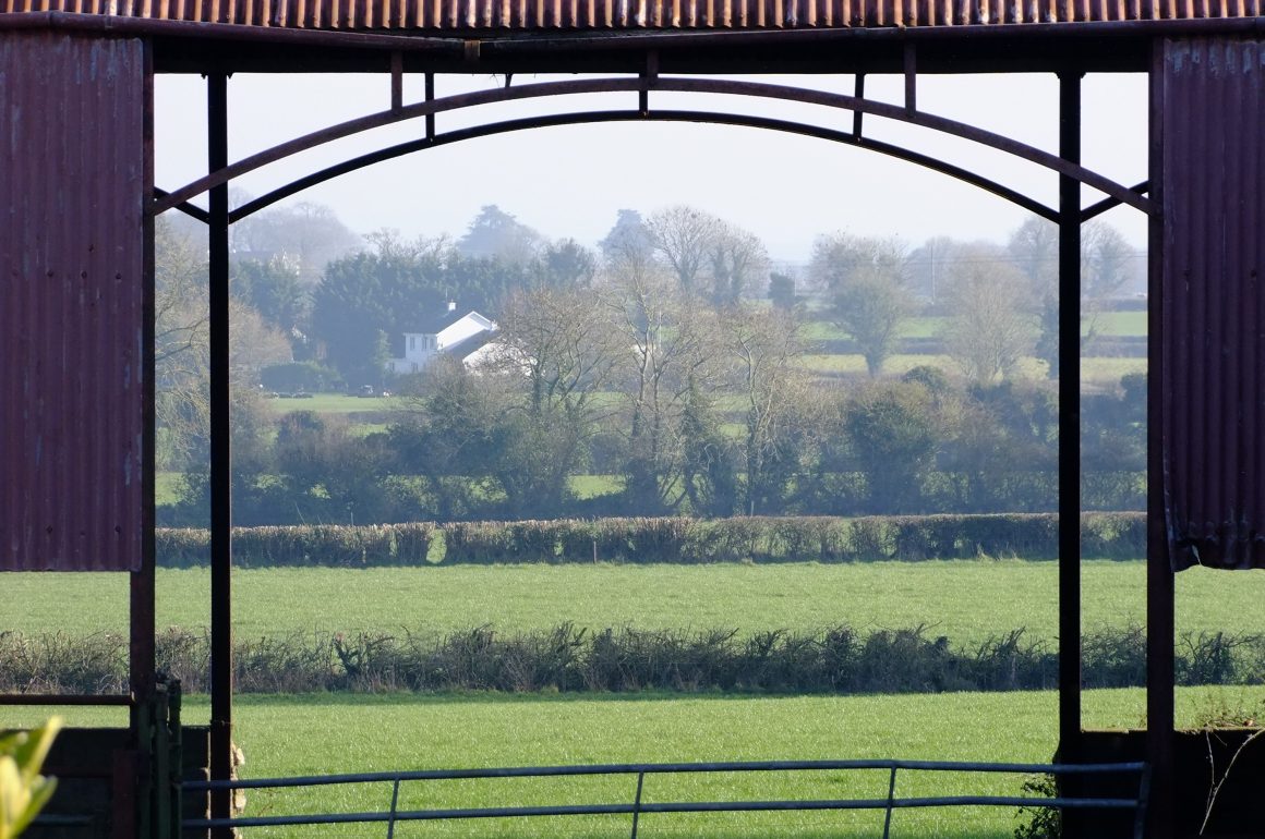 Laois Farm