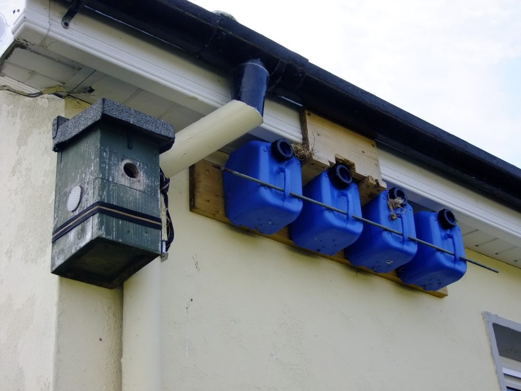 nest boxes