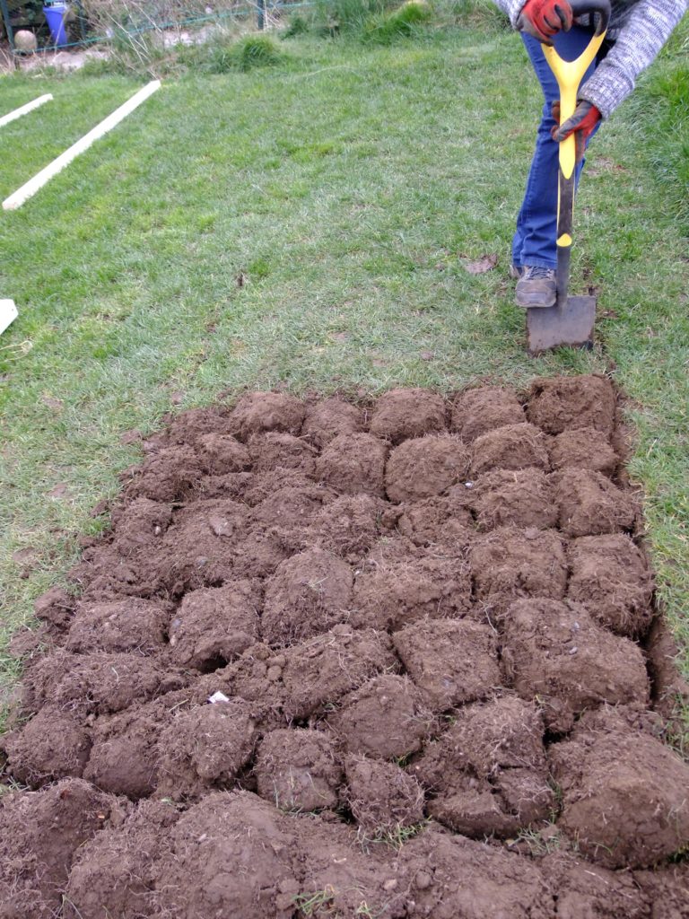 digging over grass