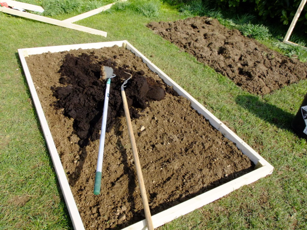 raised bed with compost